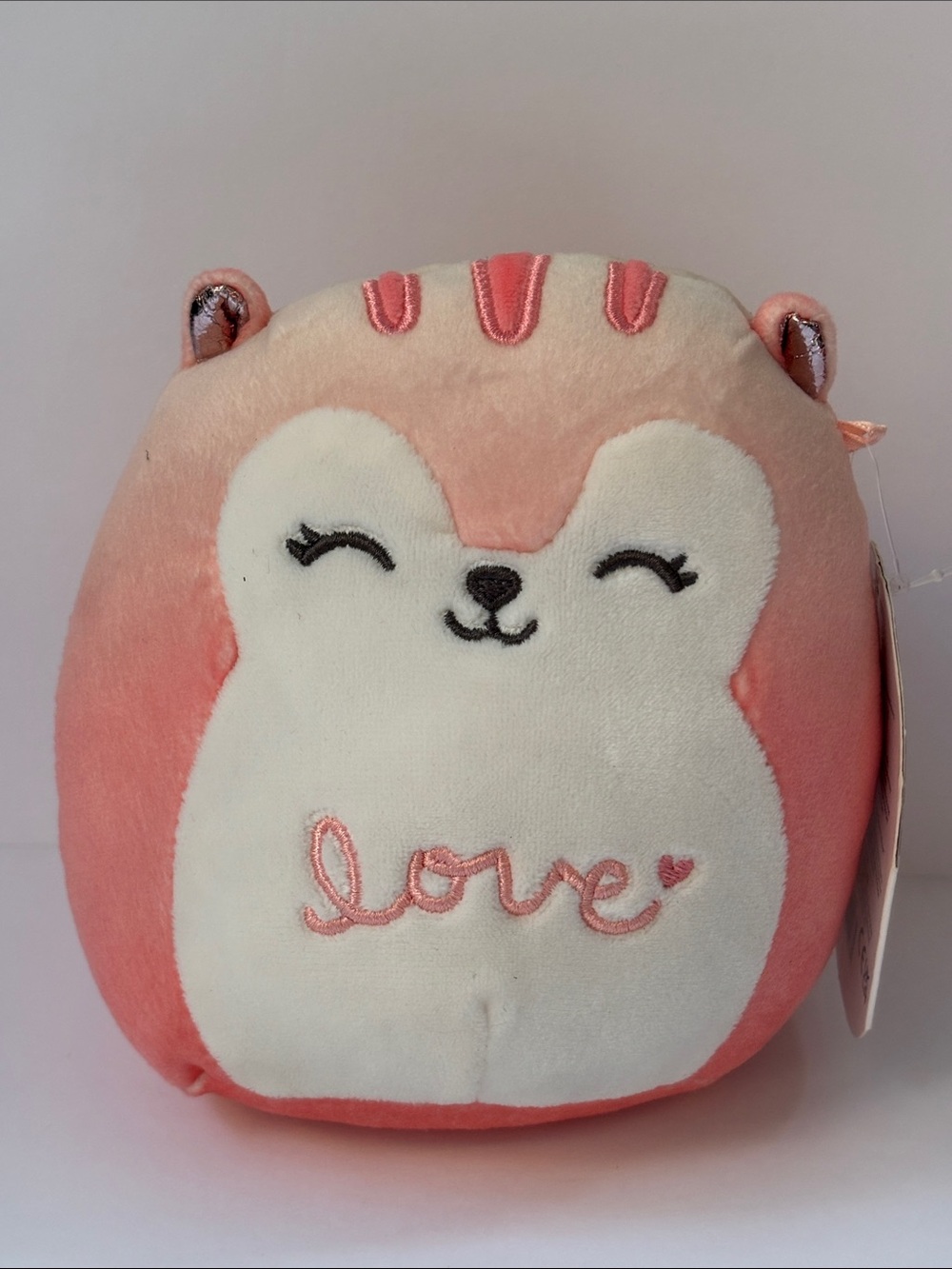 Squishmallows Lane Squirrel 5” Plush Love Embroidery NWT ♥️💗